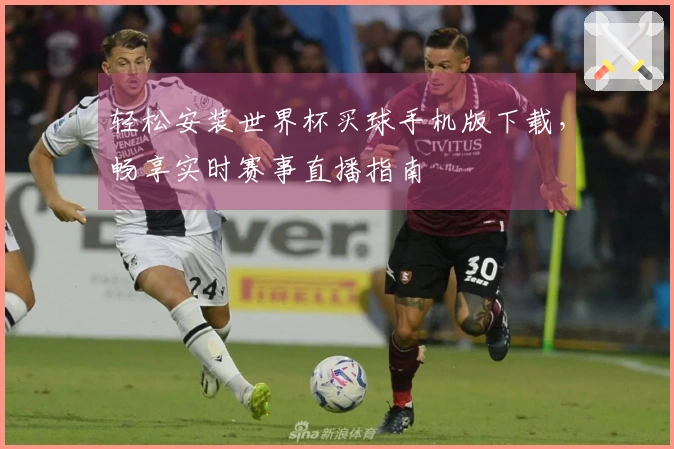轻松安装世界杯买球手机版下载，畅享实时赛事直播指南