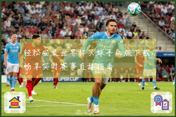 轻松安装世界杯买球手机版下载，畅享实时赛事直播指南