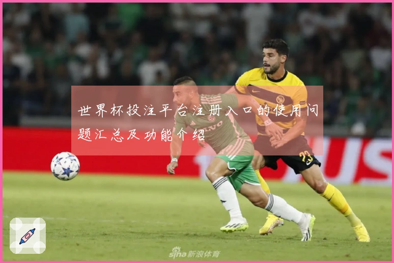 世界杯投注平台注册入口的使用问题汇总及功能介绍