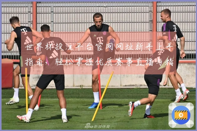 世界杯投注平台官网网址新手上手指南，轻松掌握优质赛事直播与精彩互动体验