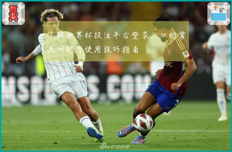 了解世界杯投注平台登录入口的常见问题与使用技巧指南