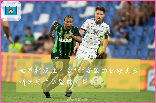 世界杯投注平台APP安装的优缺点分析及用户体验综合评测