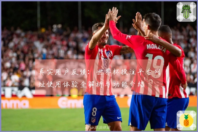 真实用户反馈：世界杯投注平台网址使用体验全解析与功能介绍