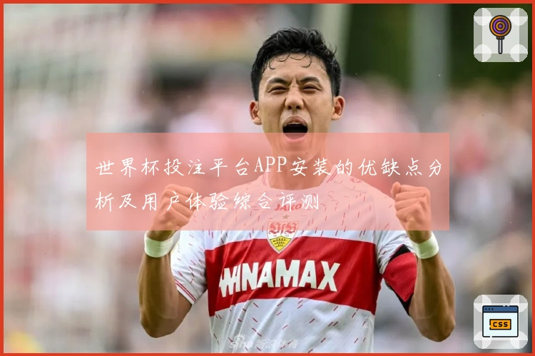 世界杯投注平台APP安装的优缺点分析及用户体验综合评测