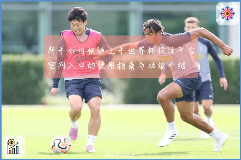 新手如何快速上手世界杯投注平台官网入口的使用指南与功能介绍