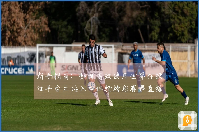 新手指南：如何高效使用世界杯投注平台主站入口体验精彩赛事直播