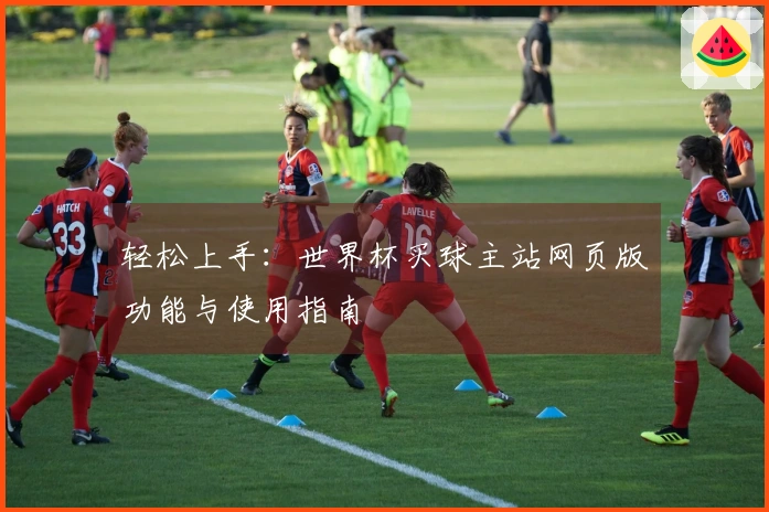 轻松上手：世界杯买球主站网页版功能与使用指南