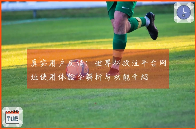 真实用户反馈：世界杯投注平台网址使用体验全解析与功能介绍